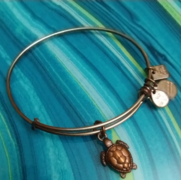 Alex and Ani Sea Turtle Charm Bracelet - Picture 4 of 13